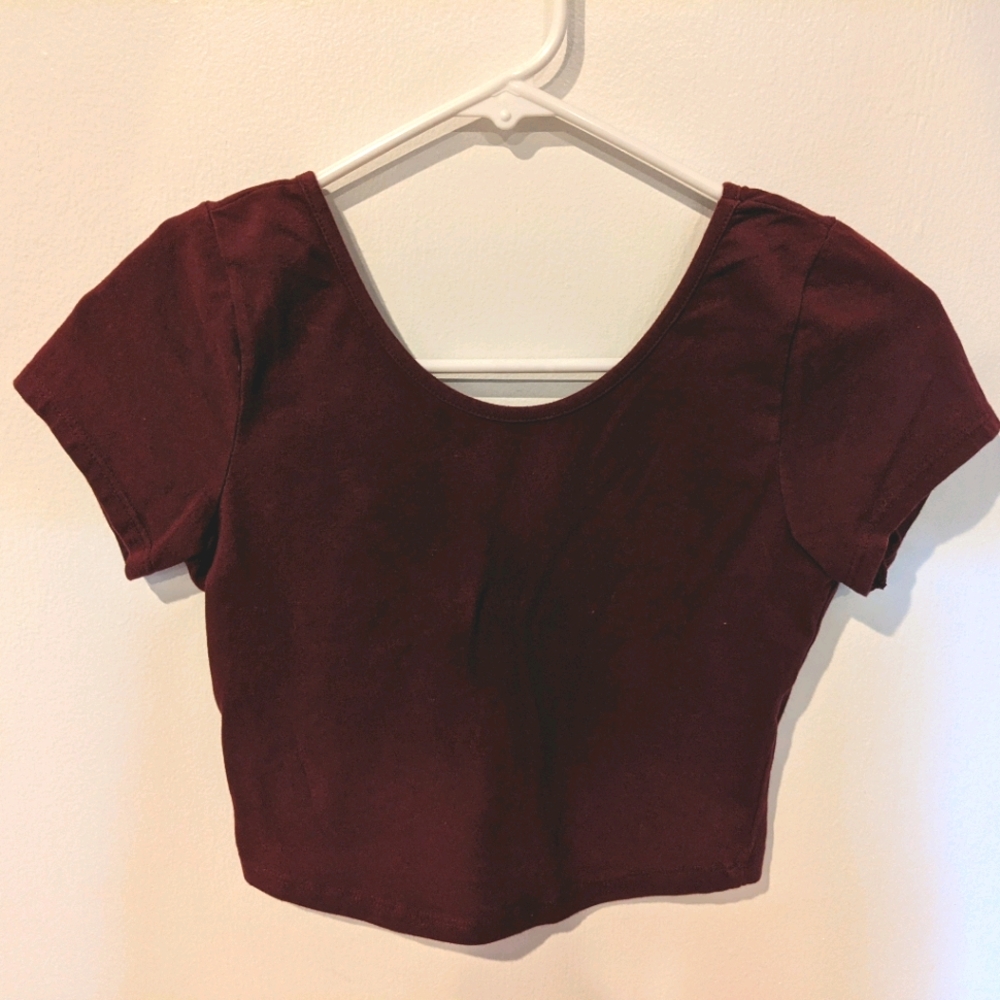 Brandy Melville Crop Top